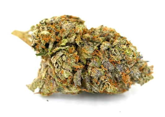 Black Alien